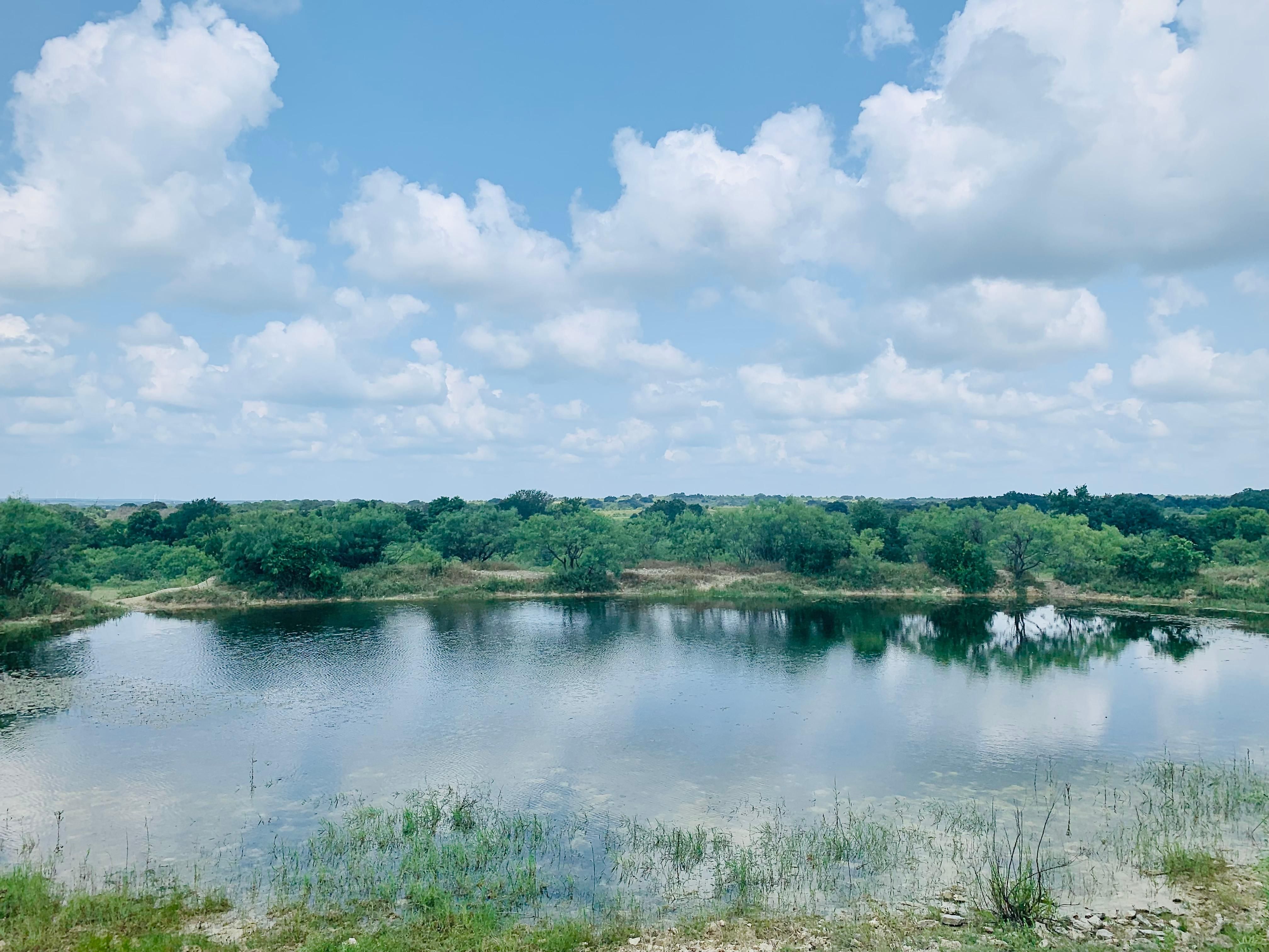 State Hwy 16, Comanche, TX 76442 MLS 14492257