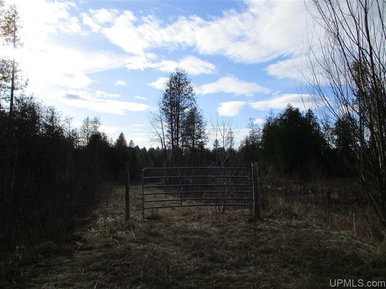 40 acres in Dickinson County, Michigan