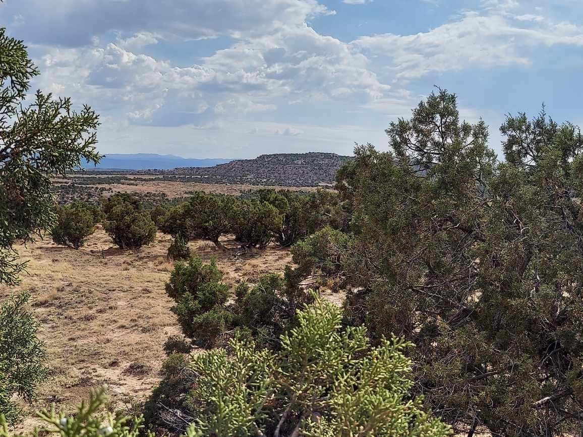 5 acres in Duchesne County, Utah