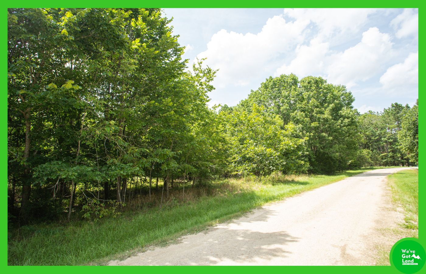 0.3 acres in Trinity County, Texas