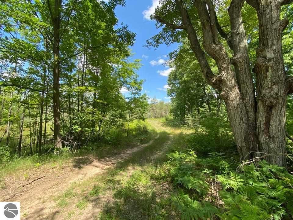 57 acres in Midland County, Michigan