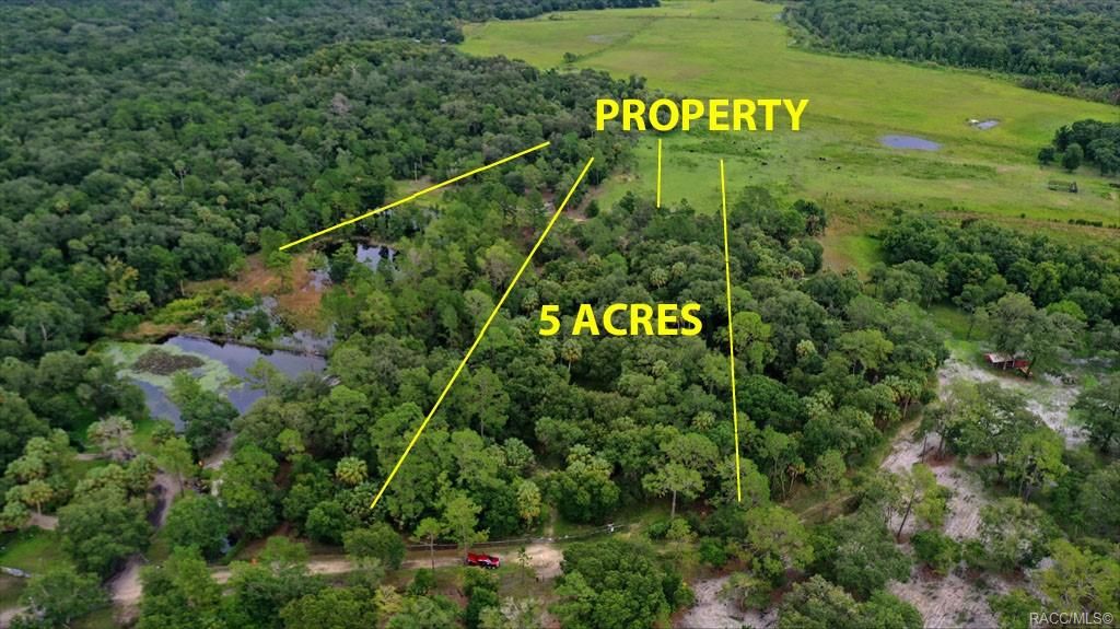 5 acres in Citrus County, Florida