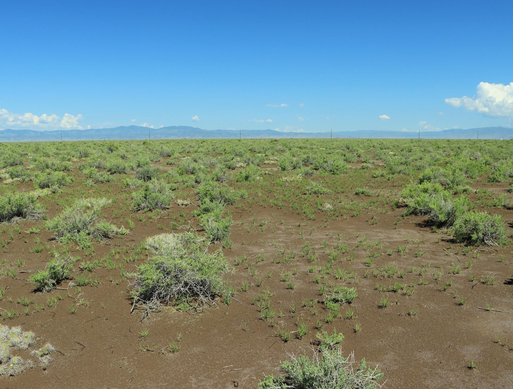 40 acres in Saguache County, Colorado