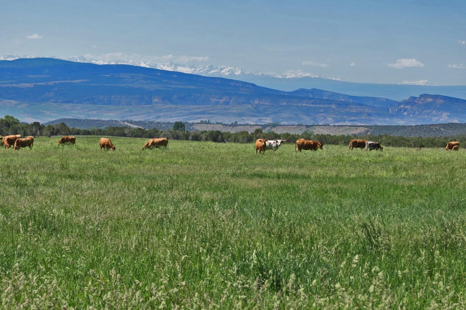 1,400 acres in Delta County, Colorado