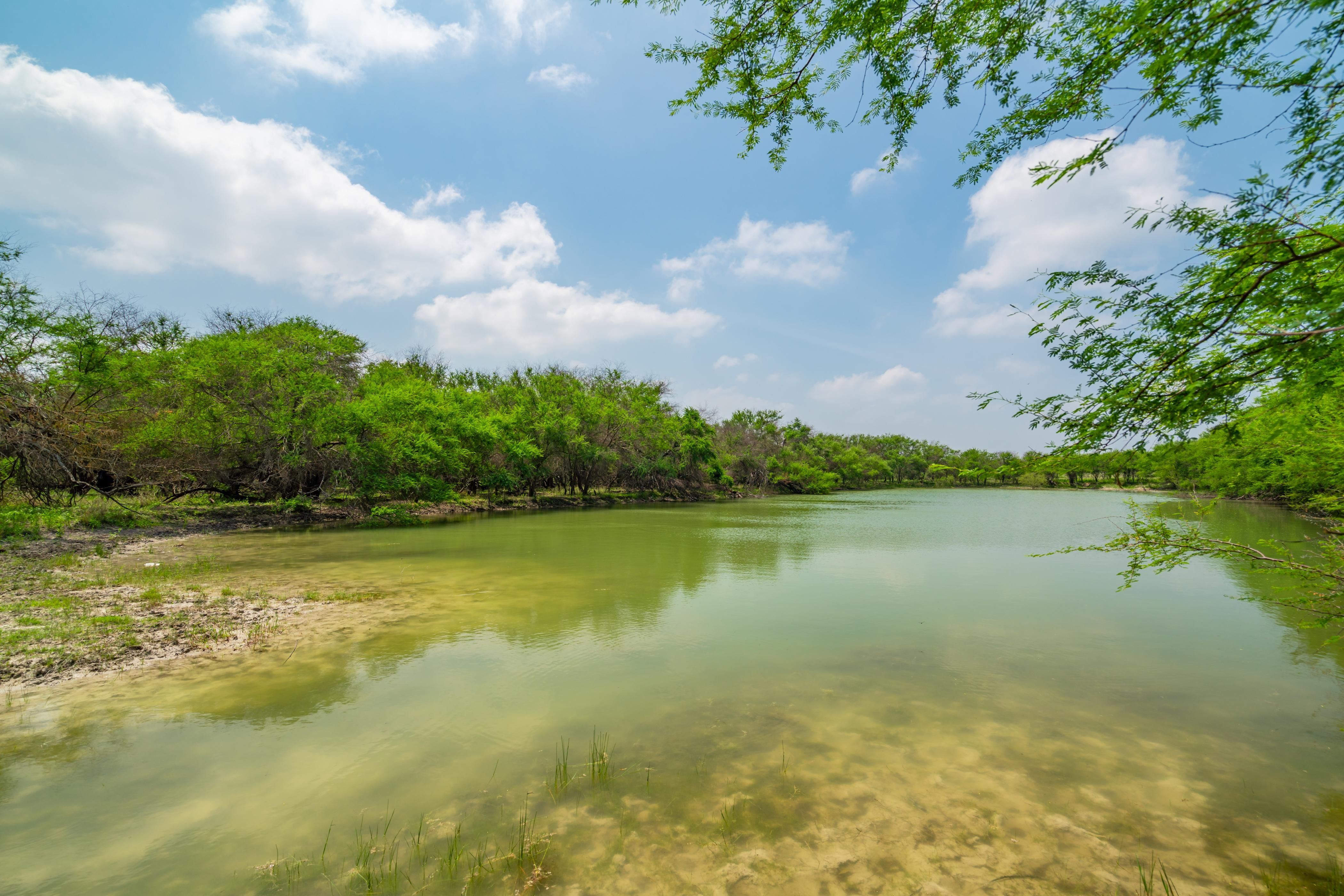 851 acres in Kinney County, Texas