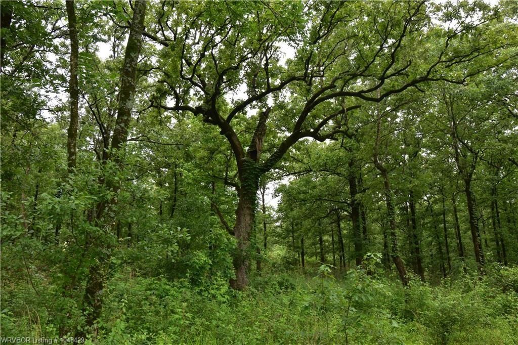 10 acres in Logan County, Arkansas