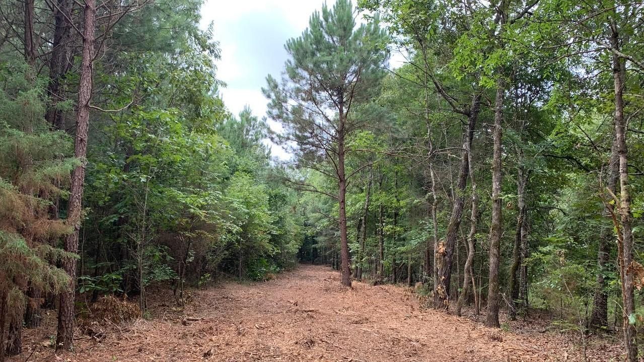 13 acres in Bowie County Listing Agent Tom Waltz