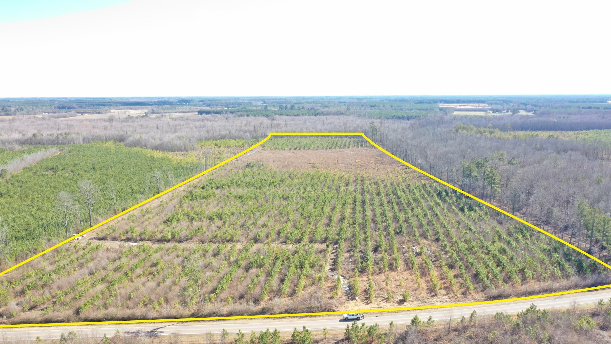 Bolton Road, Lot WP0001, Rich Square, NC 27869