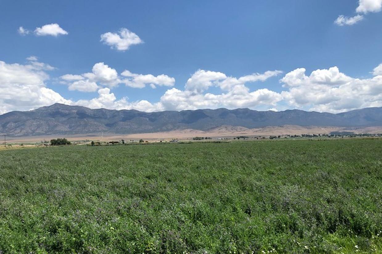 100 acres in White Pine County, Nevada