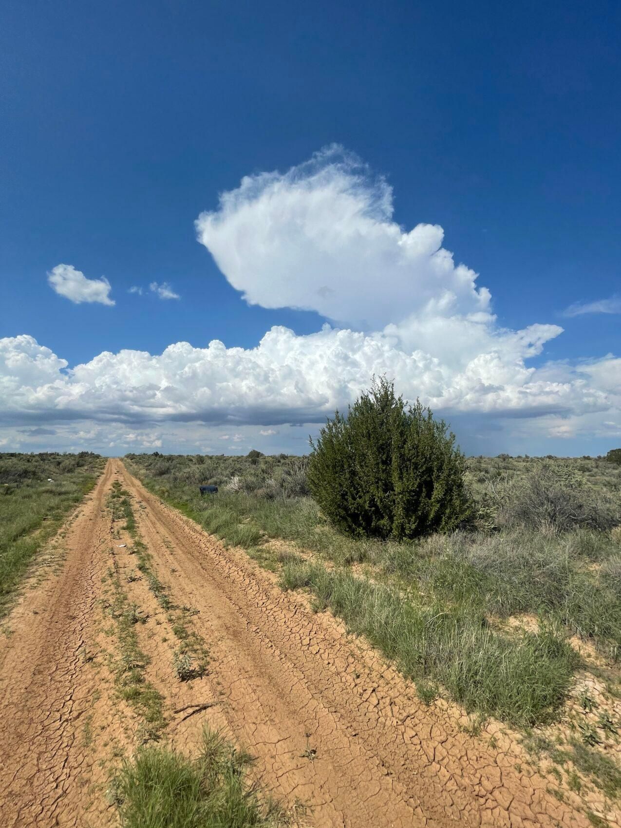 2 acres in Sandoval County, New Mexico