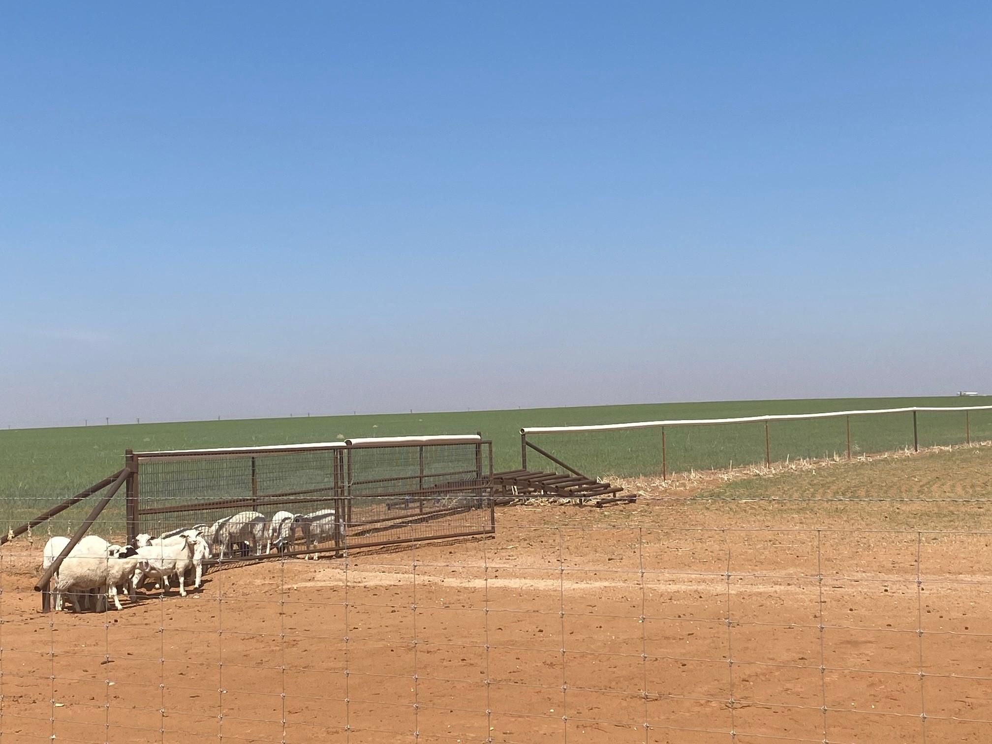 1,089 acres in Gaines County, Texas