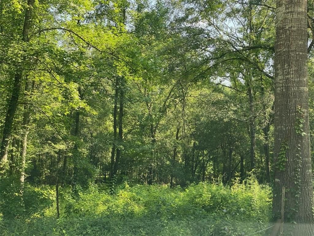 4 acres in Rapides Parish, Louisiana