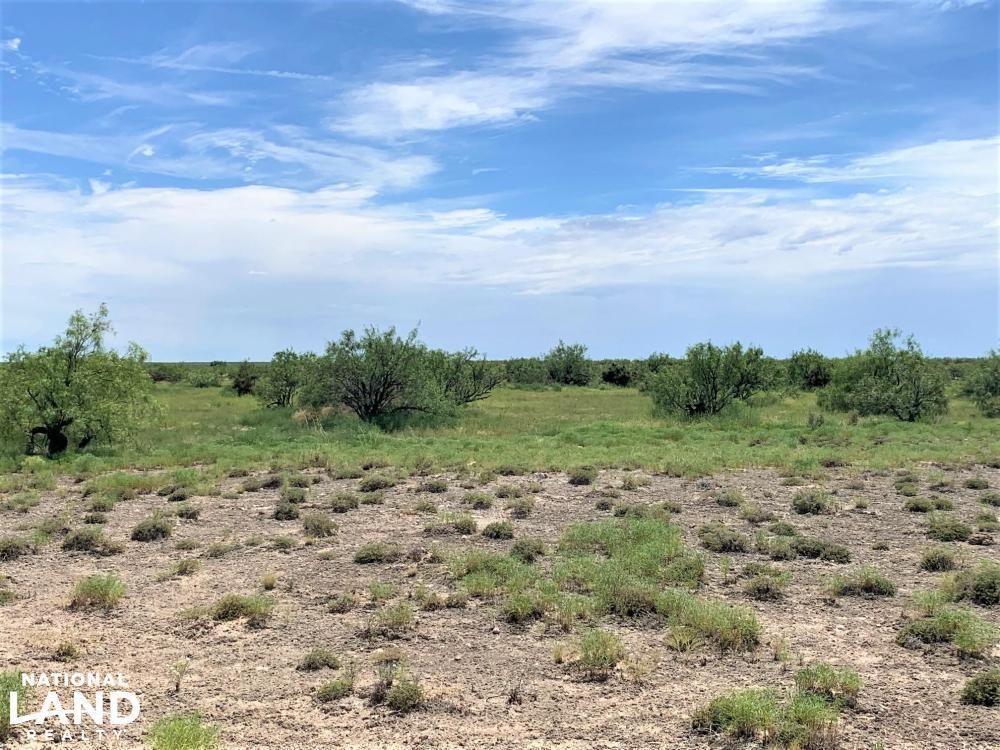 1,280 acres in Crane County, Texas