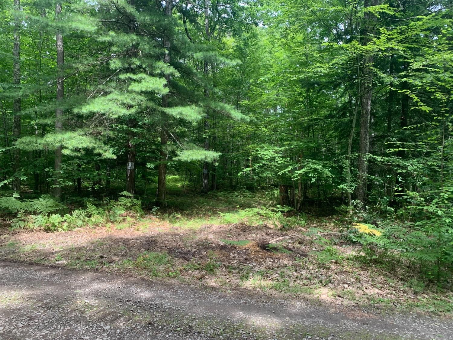 7 acres in Delaware County, New York