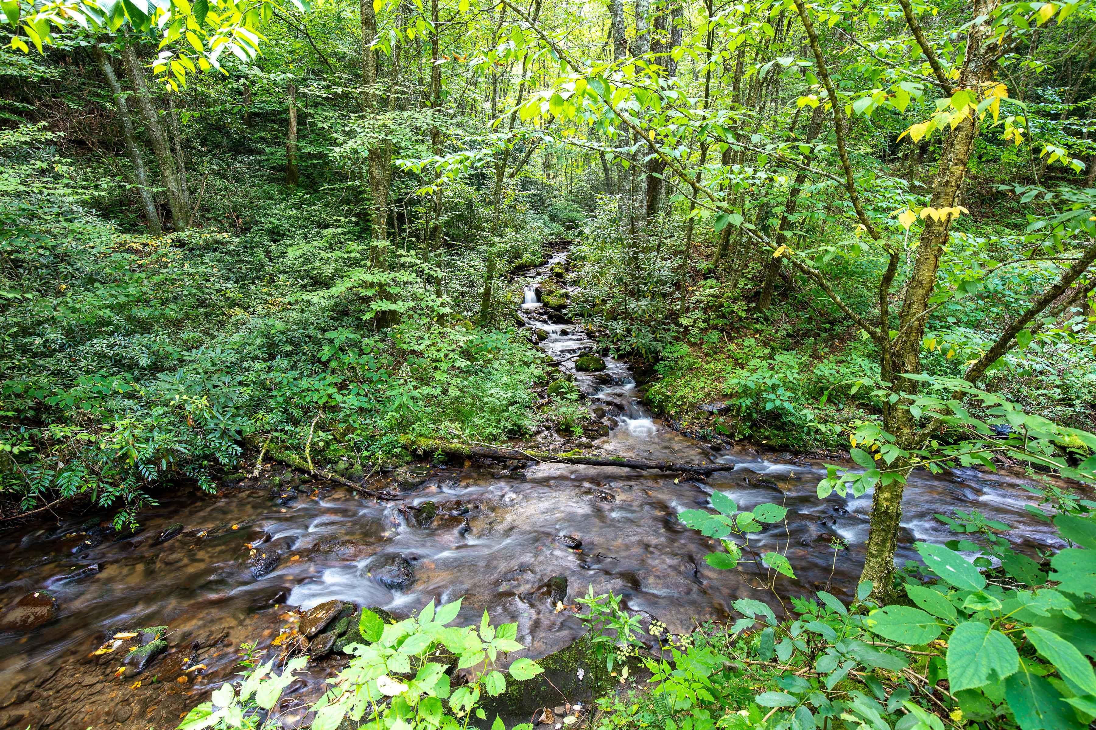 Cabin Flats Road, Balsam, NC 28707 MLS 3210919007