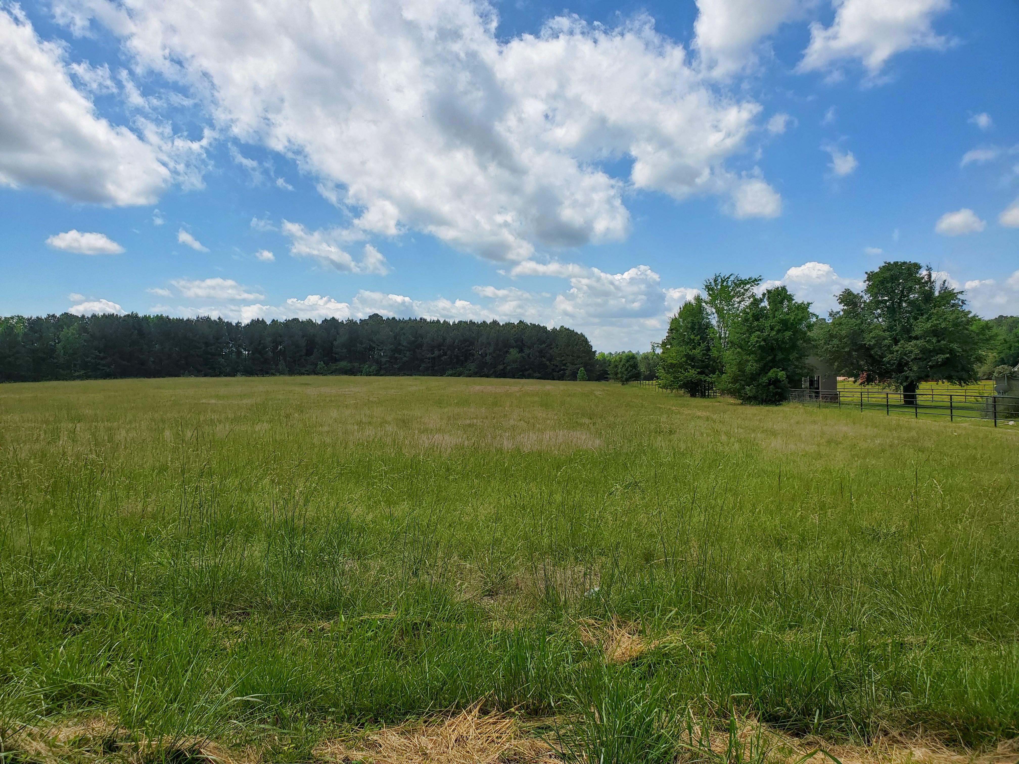 43.14 acres in Grant County, Arkansas