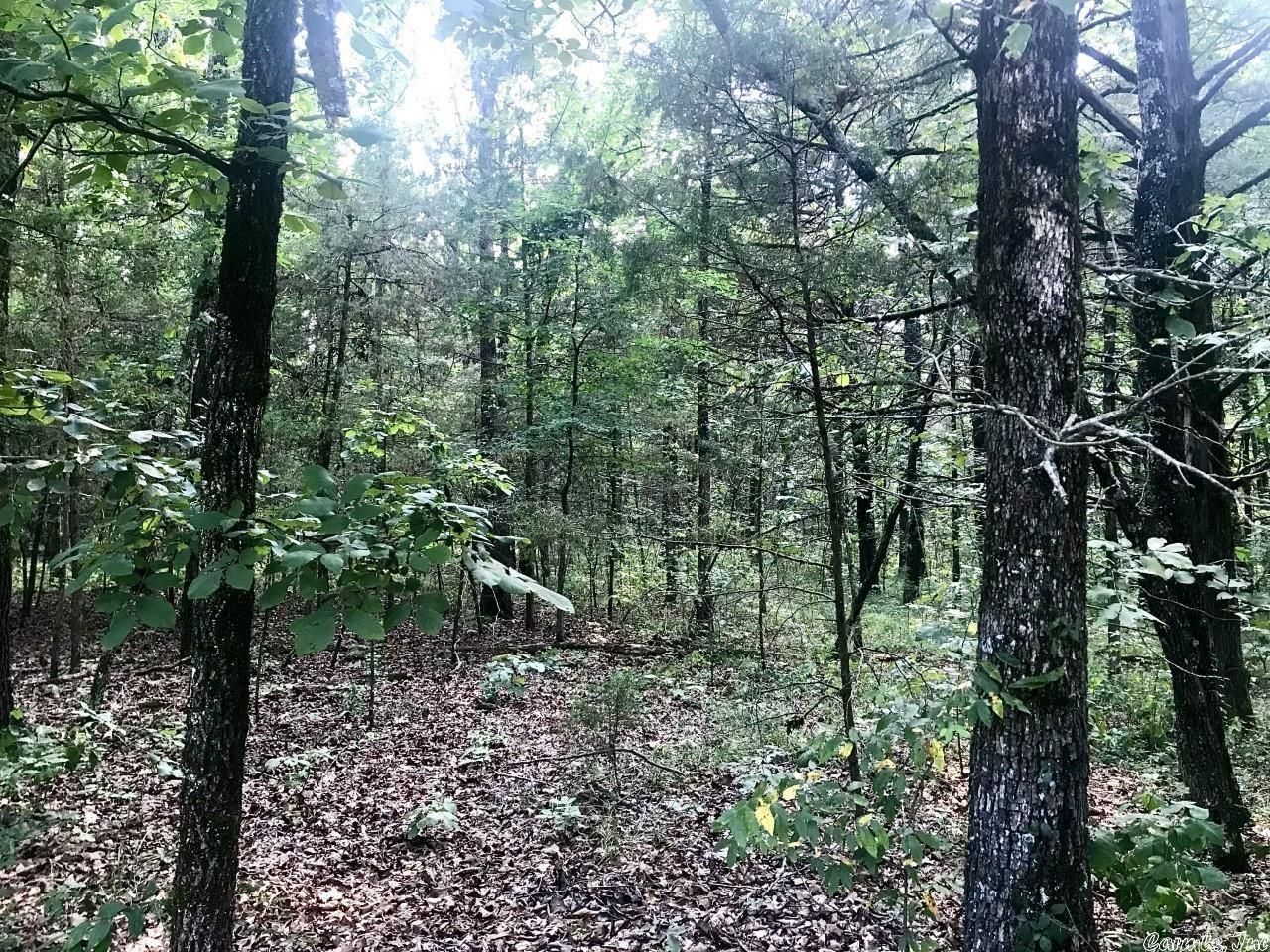 6 acres in White County, Arkansas