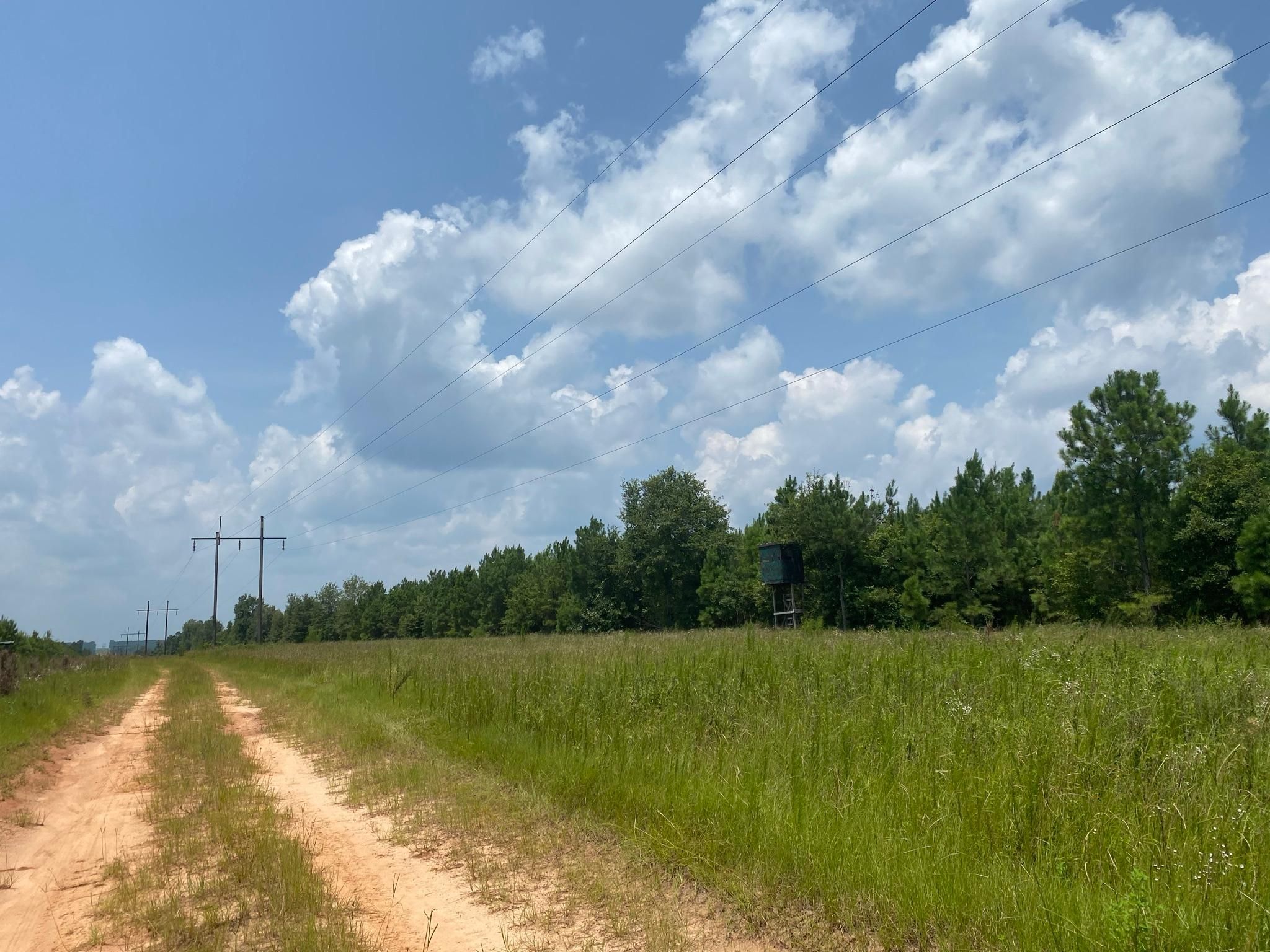 40 acres in Sumter County,