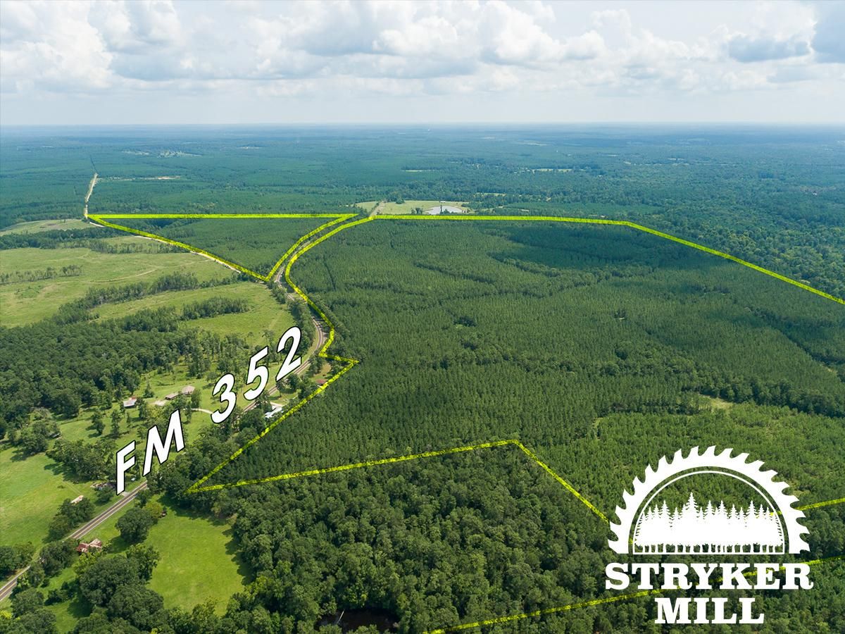 38 acres in Polk County, Texas