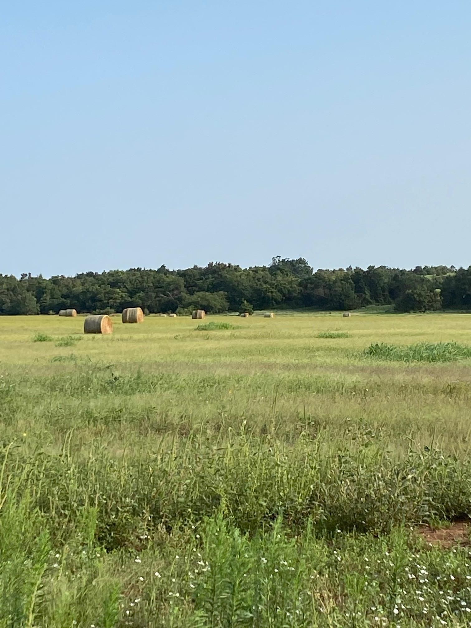 158 acres in Kingfisher County, Oklahoma