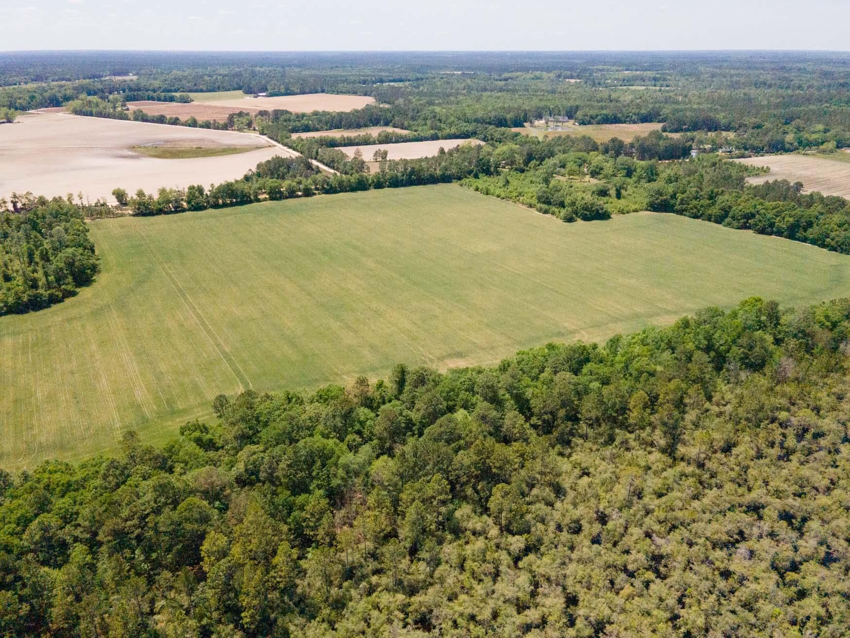 68 acres in Bulloch County,