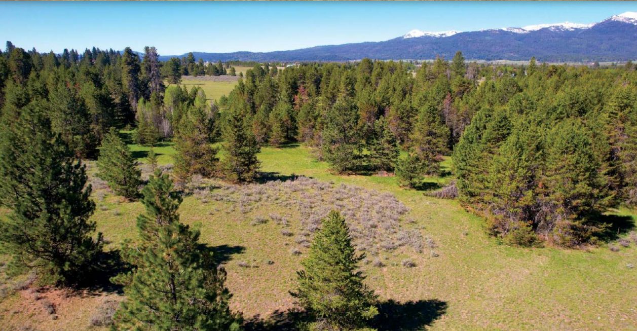 320 acres in Valley County, Idaho