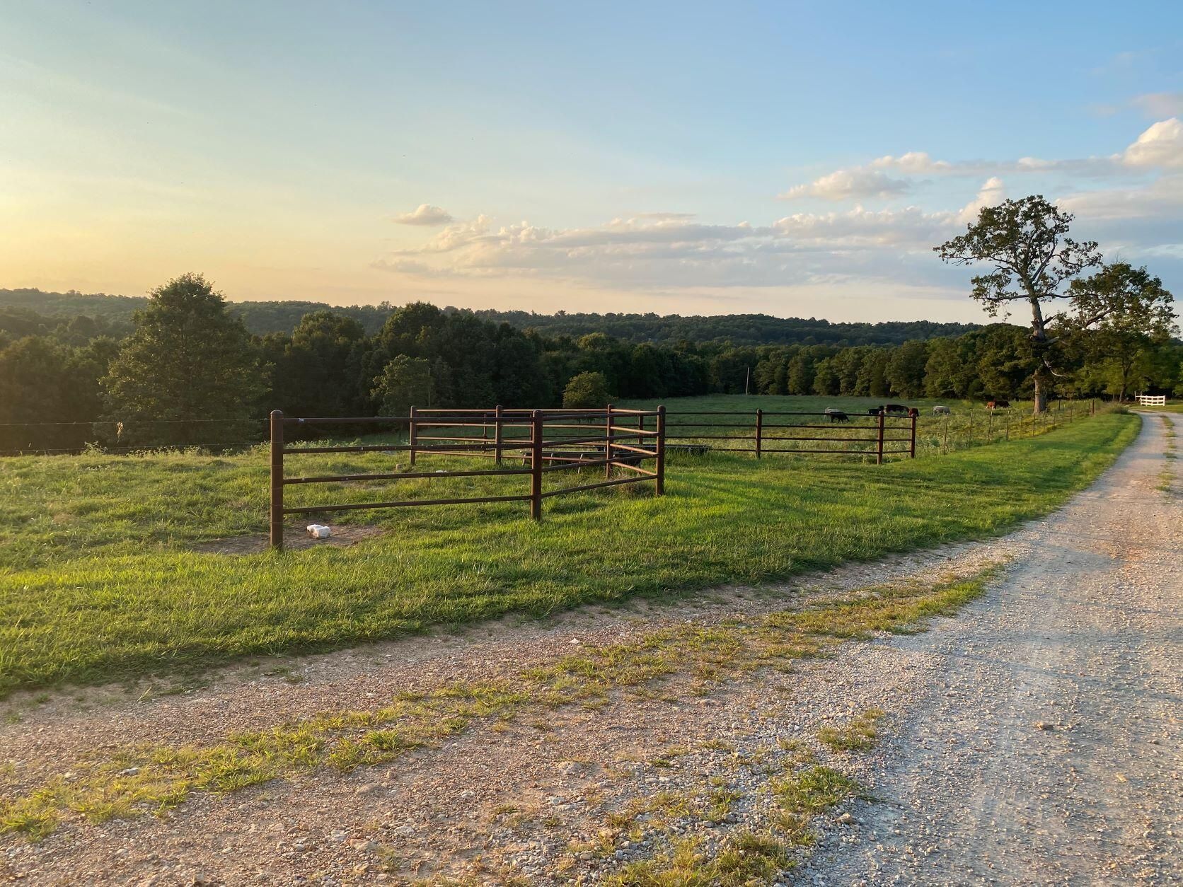 200 acres in Ozark County, Missouri