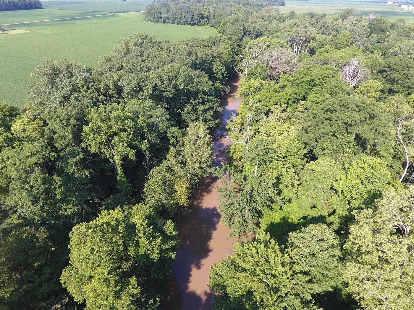 40 acres in Lenawee County, Michigan