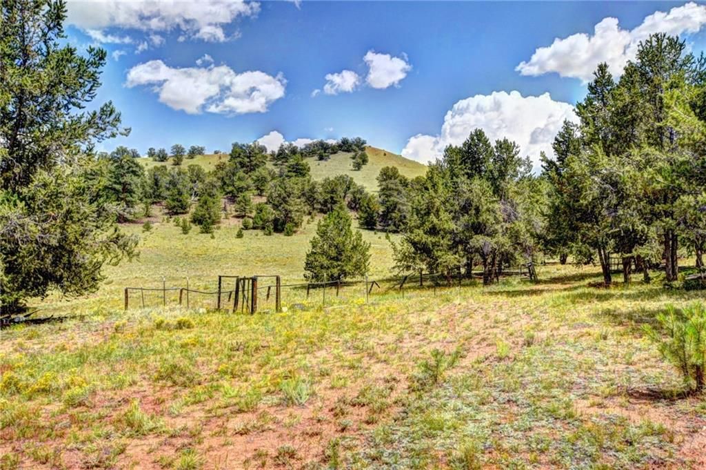 35 acres in Park County, Colorado