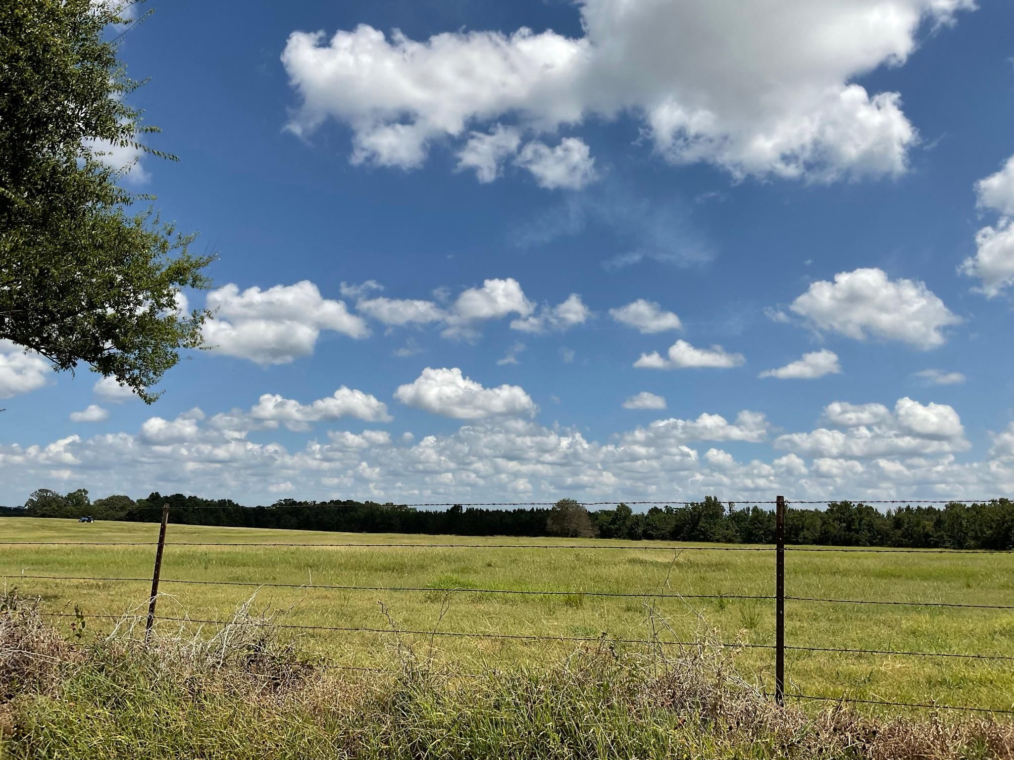 10 acres in Morris County, Texas