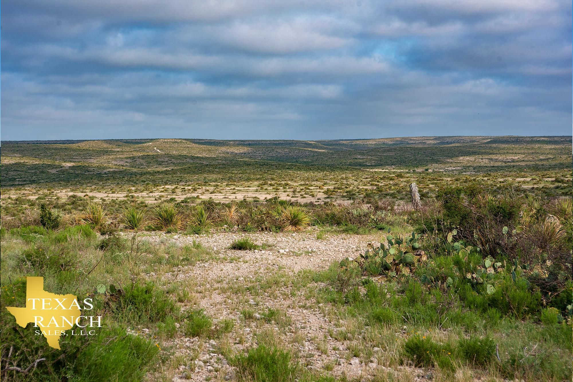 1,013 acres in Terrell County, Texas