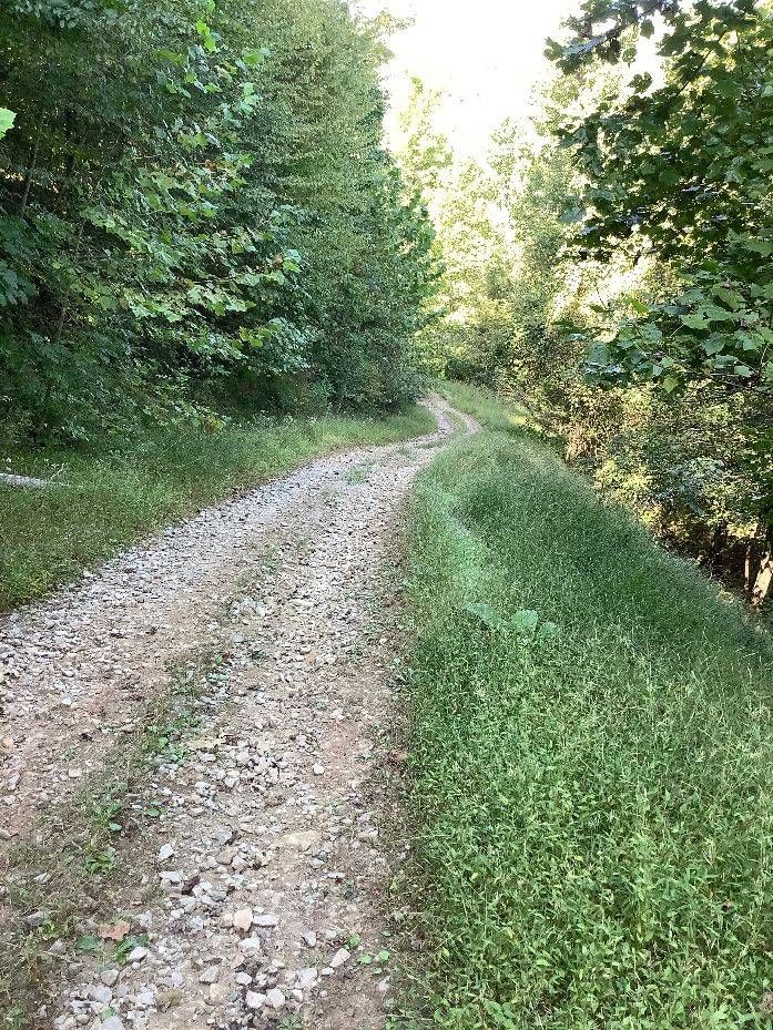 223 acres in Lewis County, West Virginia
