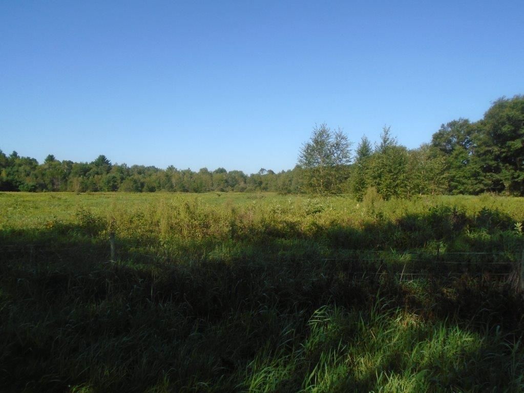 16.73 acres in Juneau County, Wisconsin