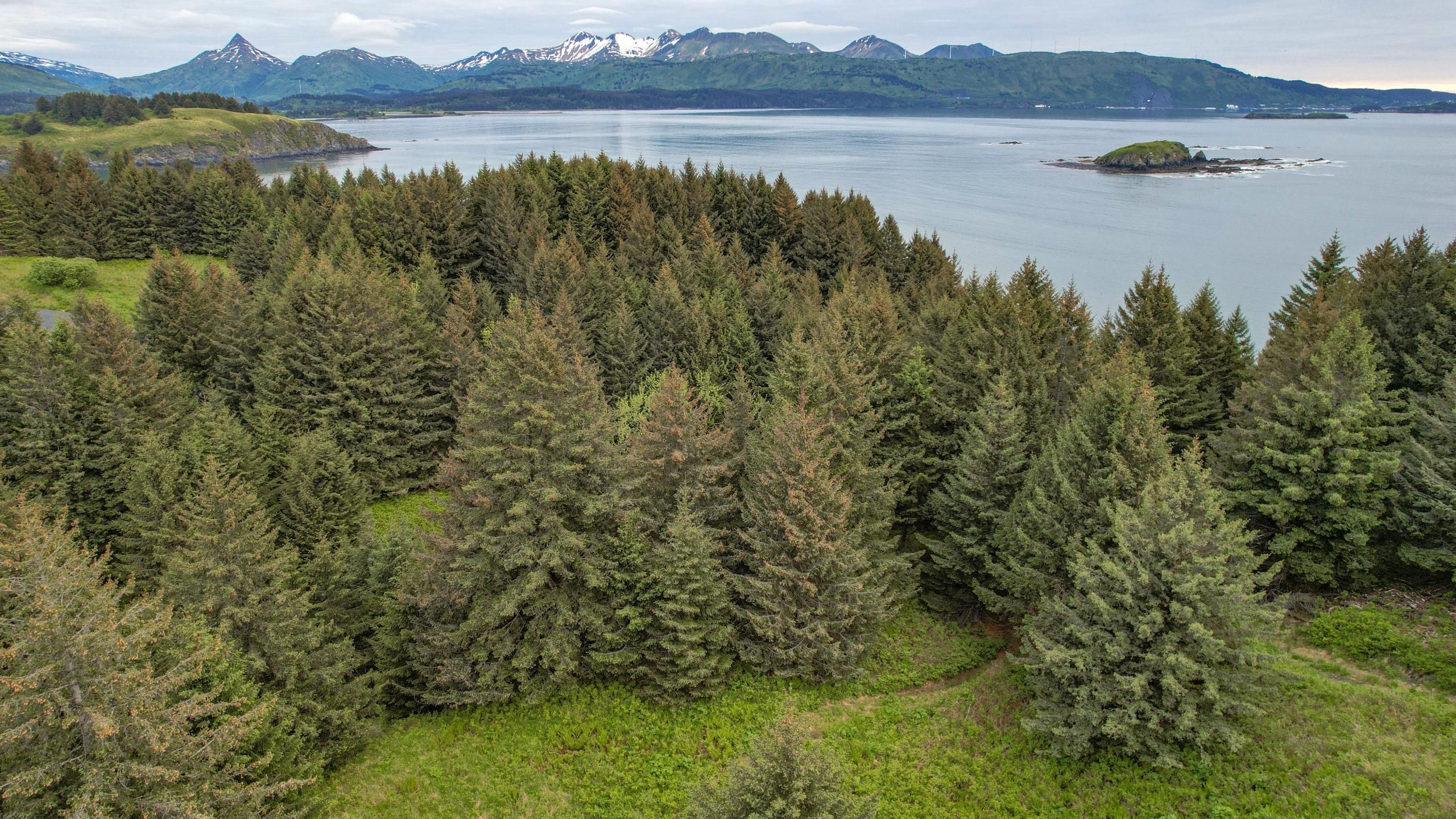 2.08 acres in Kodiak Island Borough, Alaska