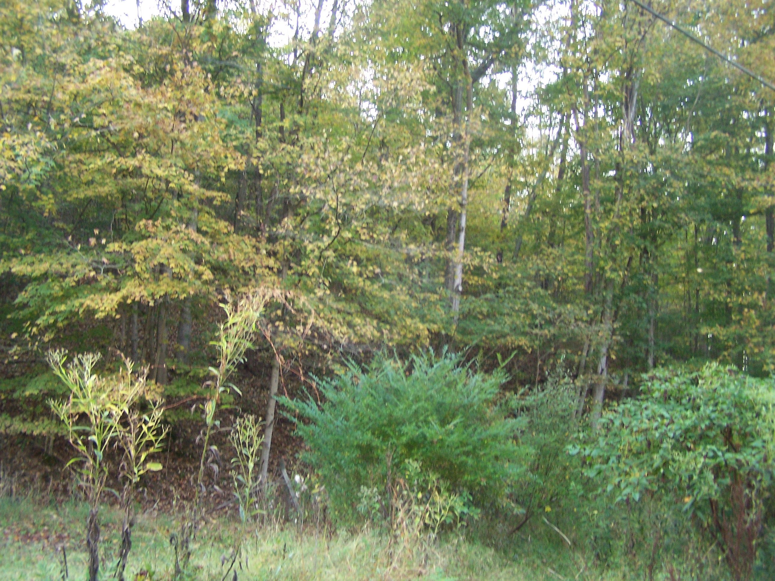 33 acres in Mason County, West Virginia