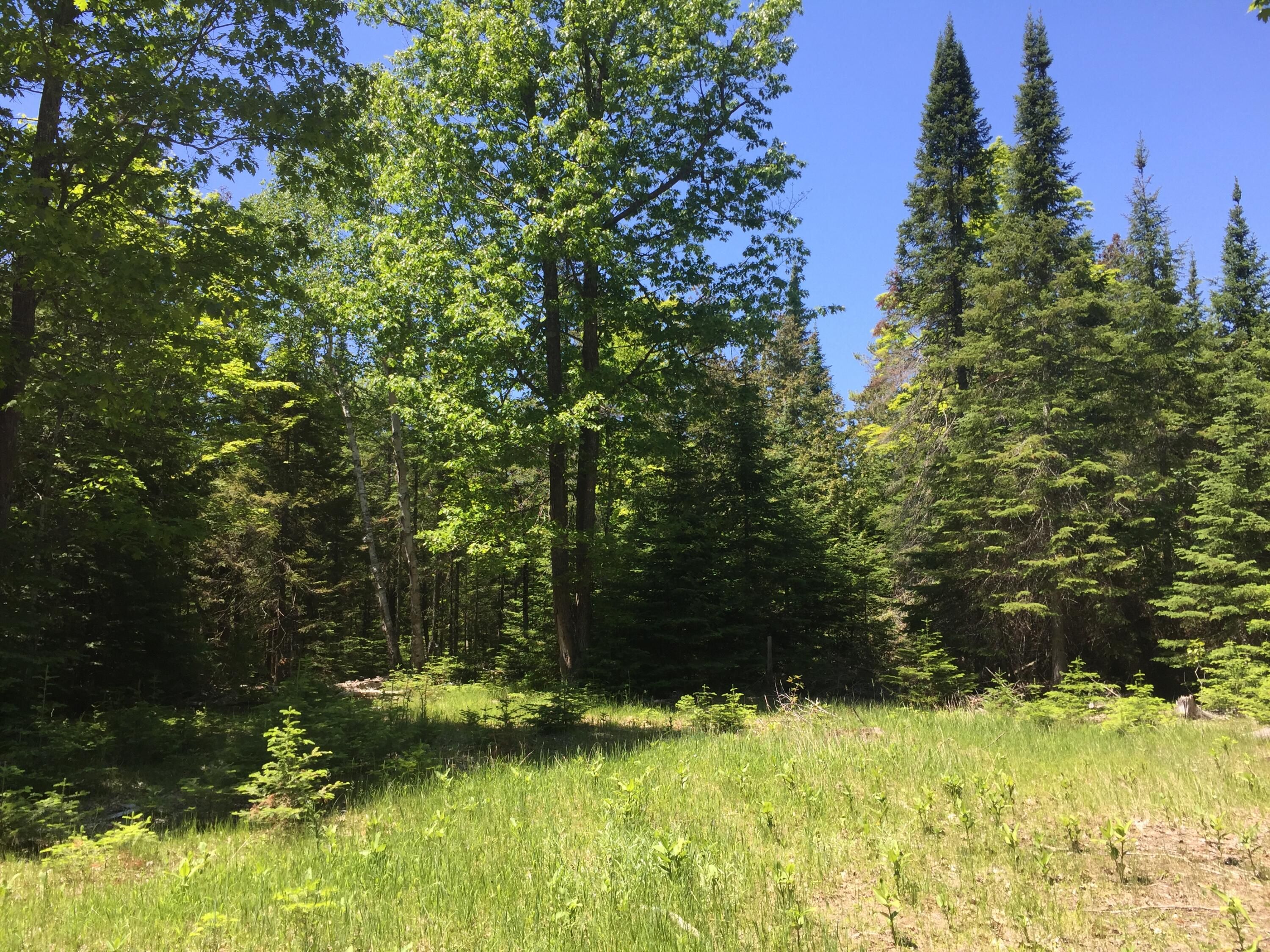 15 acres in Mackinac County, Michigan