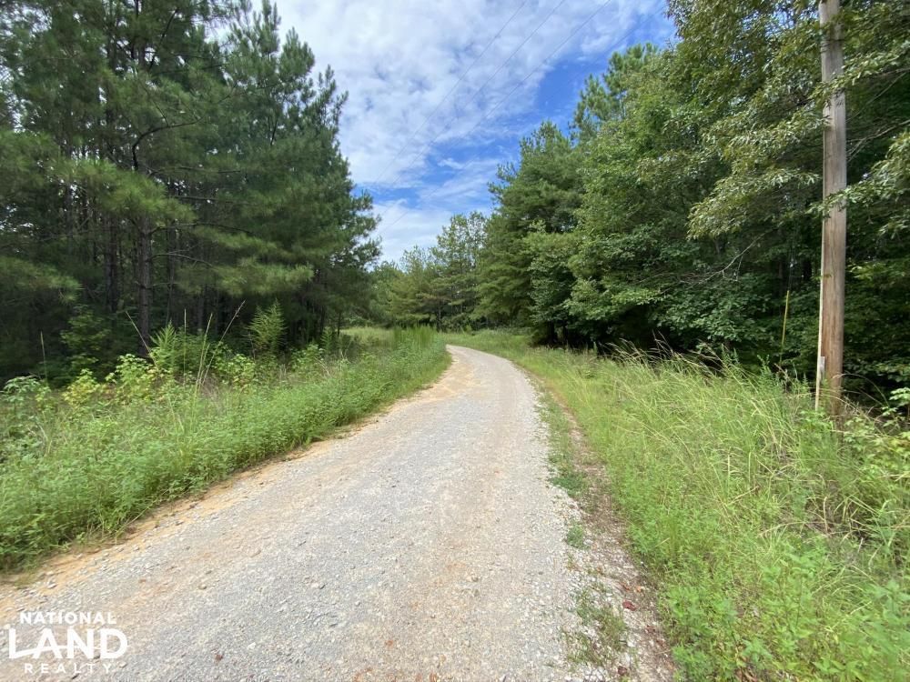 53 acres in Tuscaloosa County, Alabama