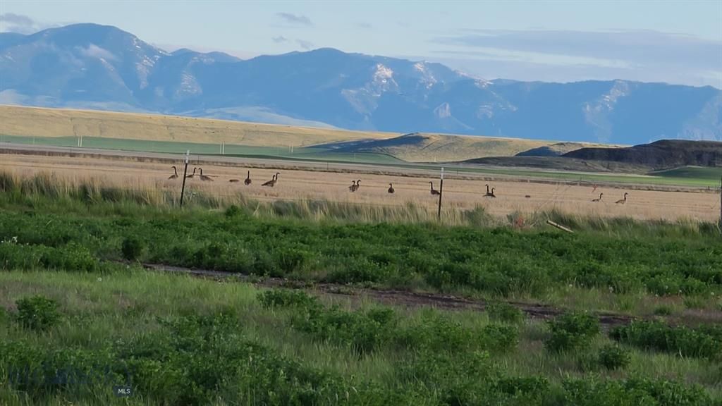 40 acres in Cascade County, Montana