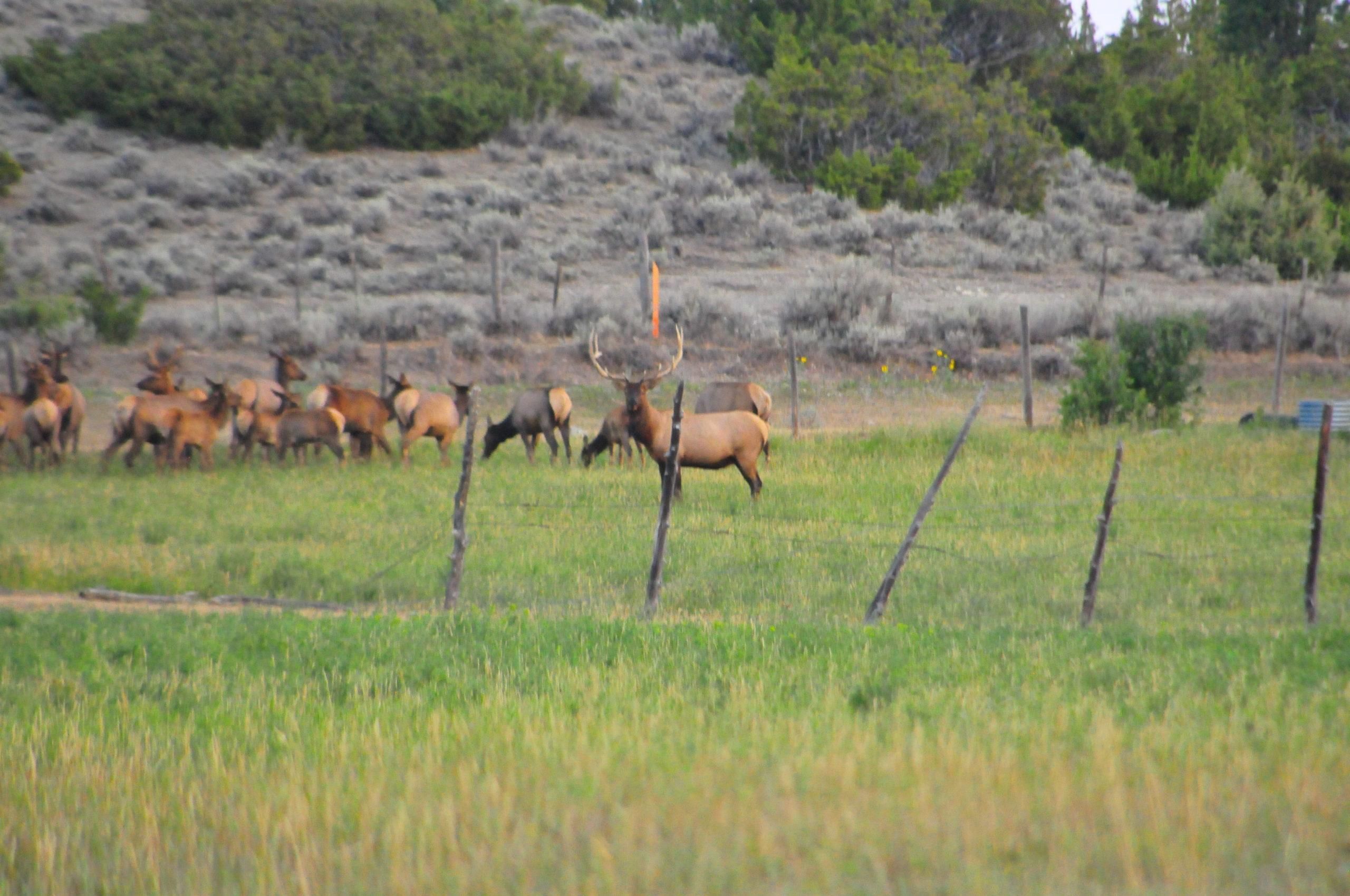 3,192 acres in Sweet Grass County, Montana