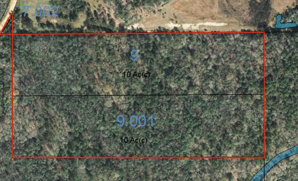 20 acres in Geneva County, Alabama