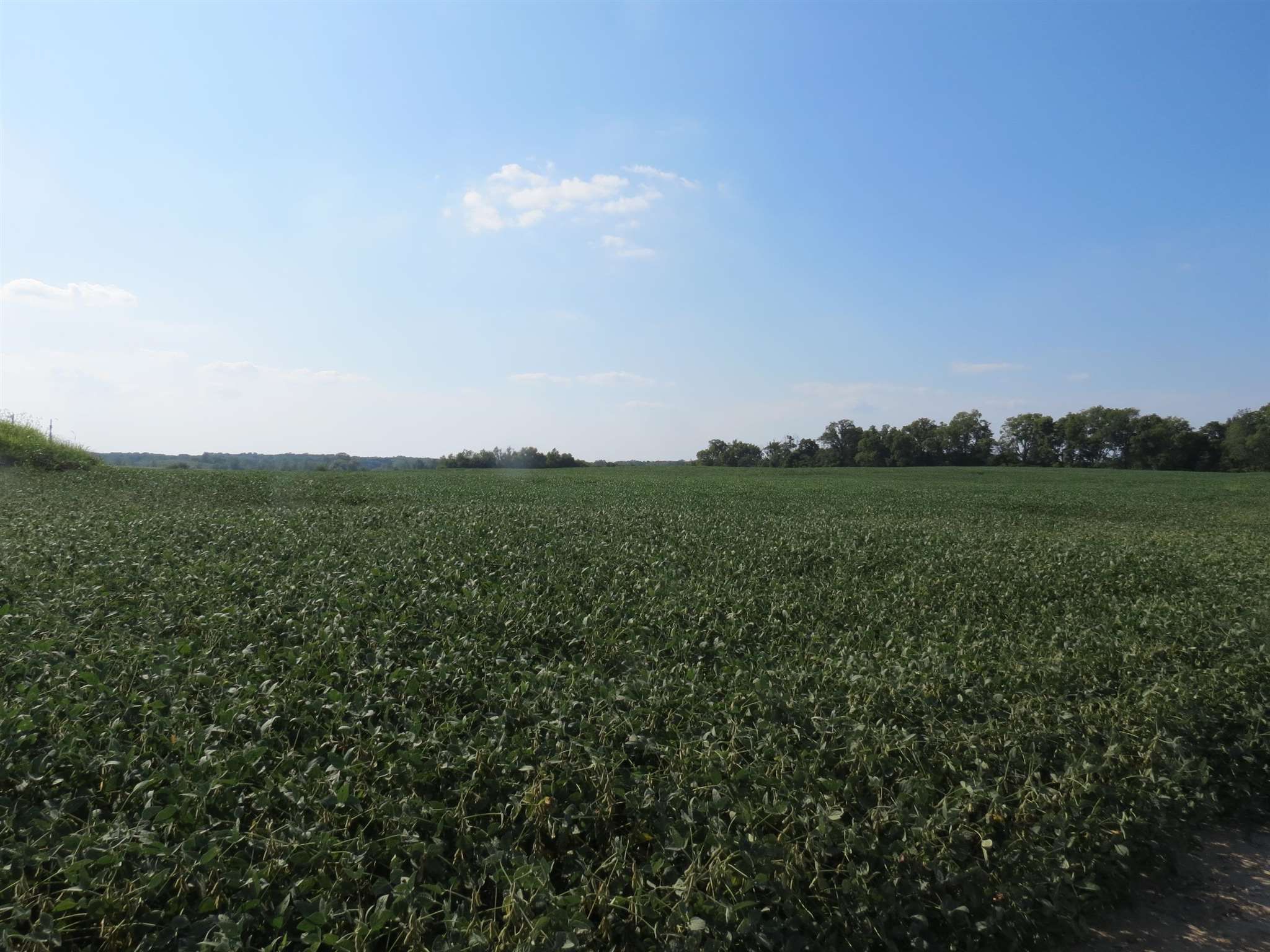 40 acres in Pike County, Indiana