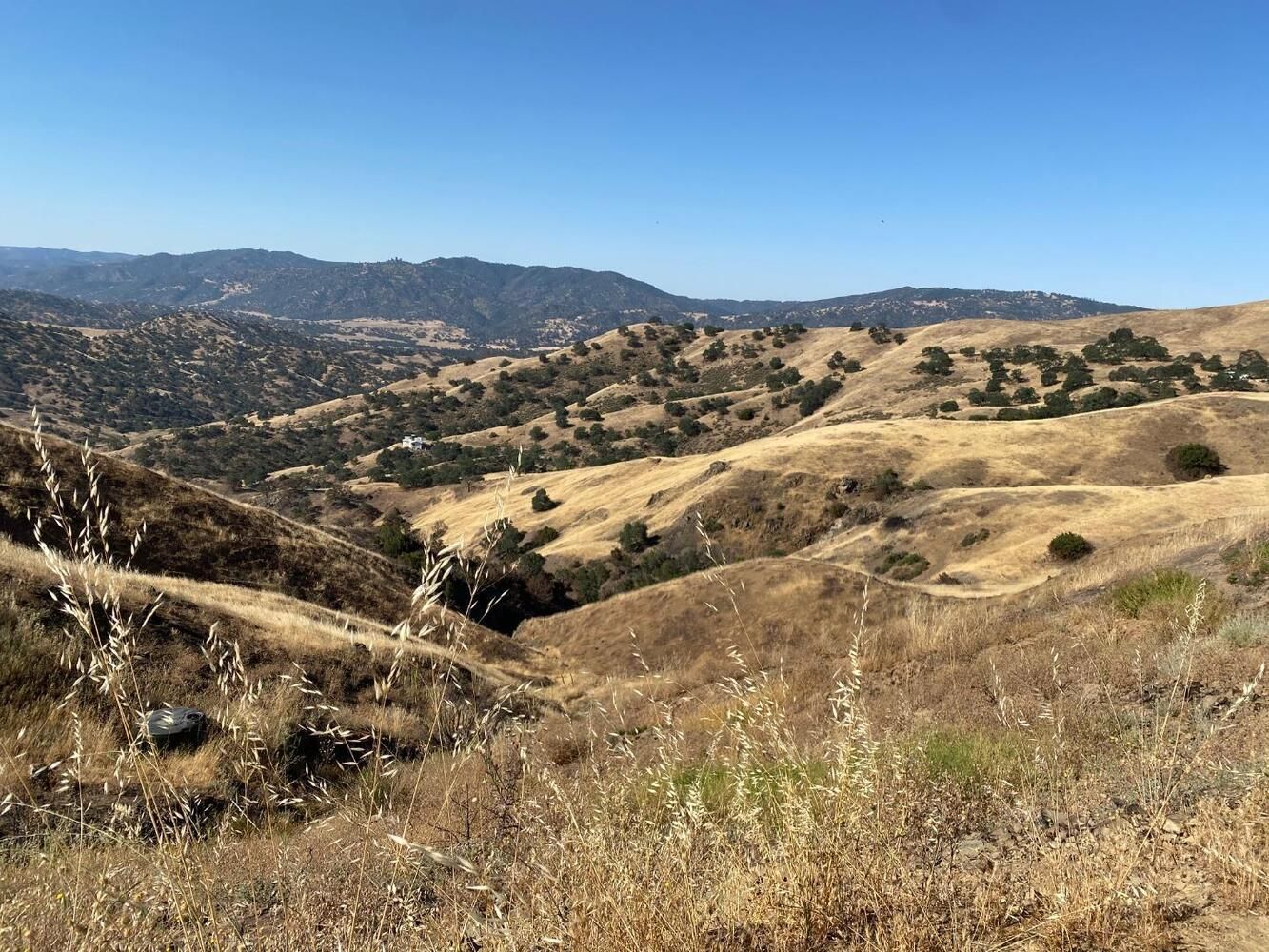 40.5 acres in San Benito County, California