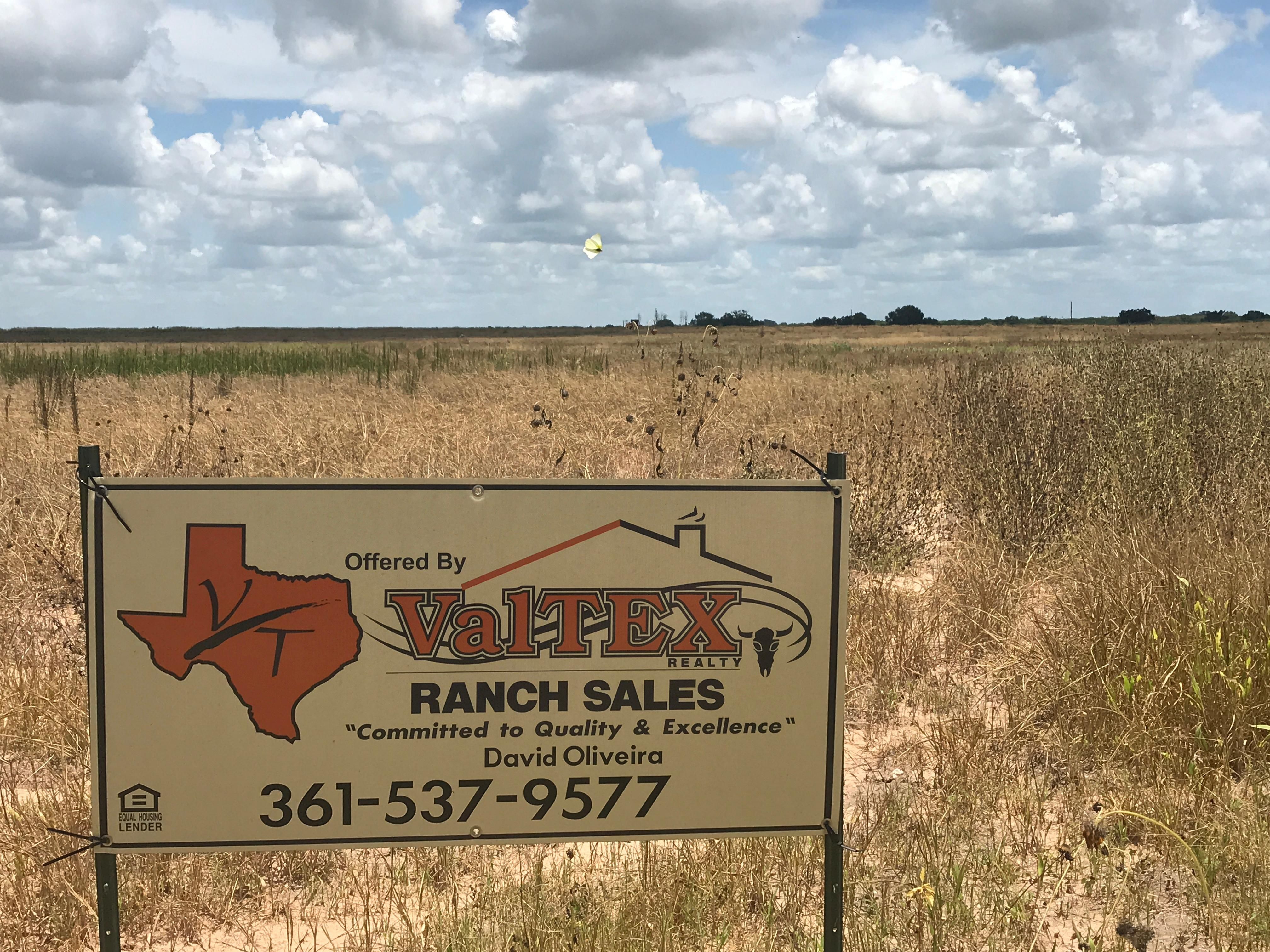 196.01 acres in Duval County, Texas