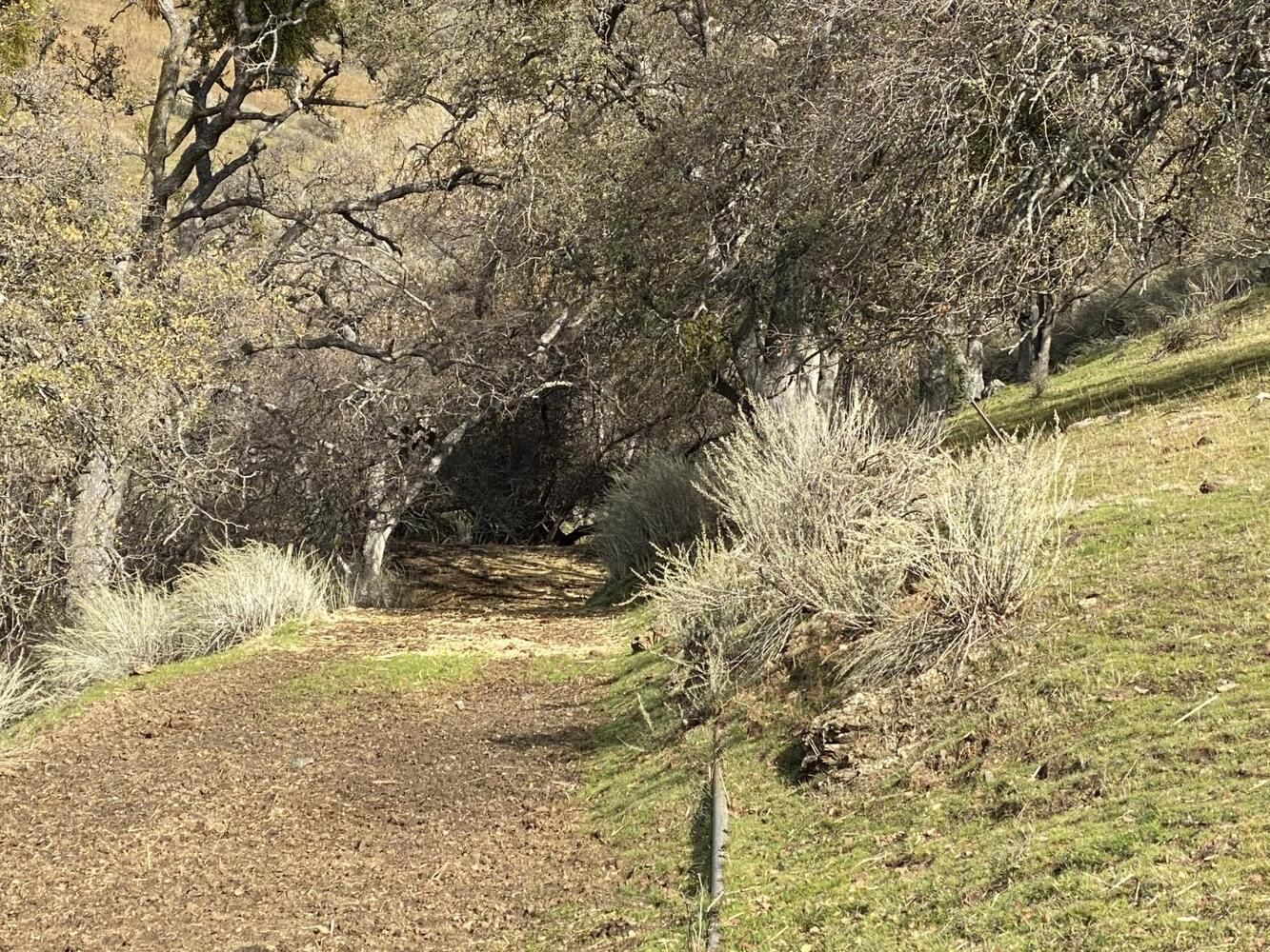 19967 Panoche Road, Paicines, CA 95043 MLS 81814605