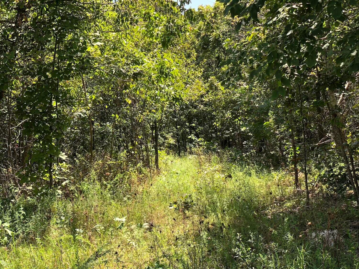 10 acres in Howell County, Missouri