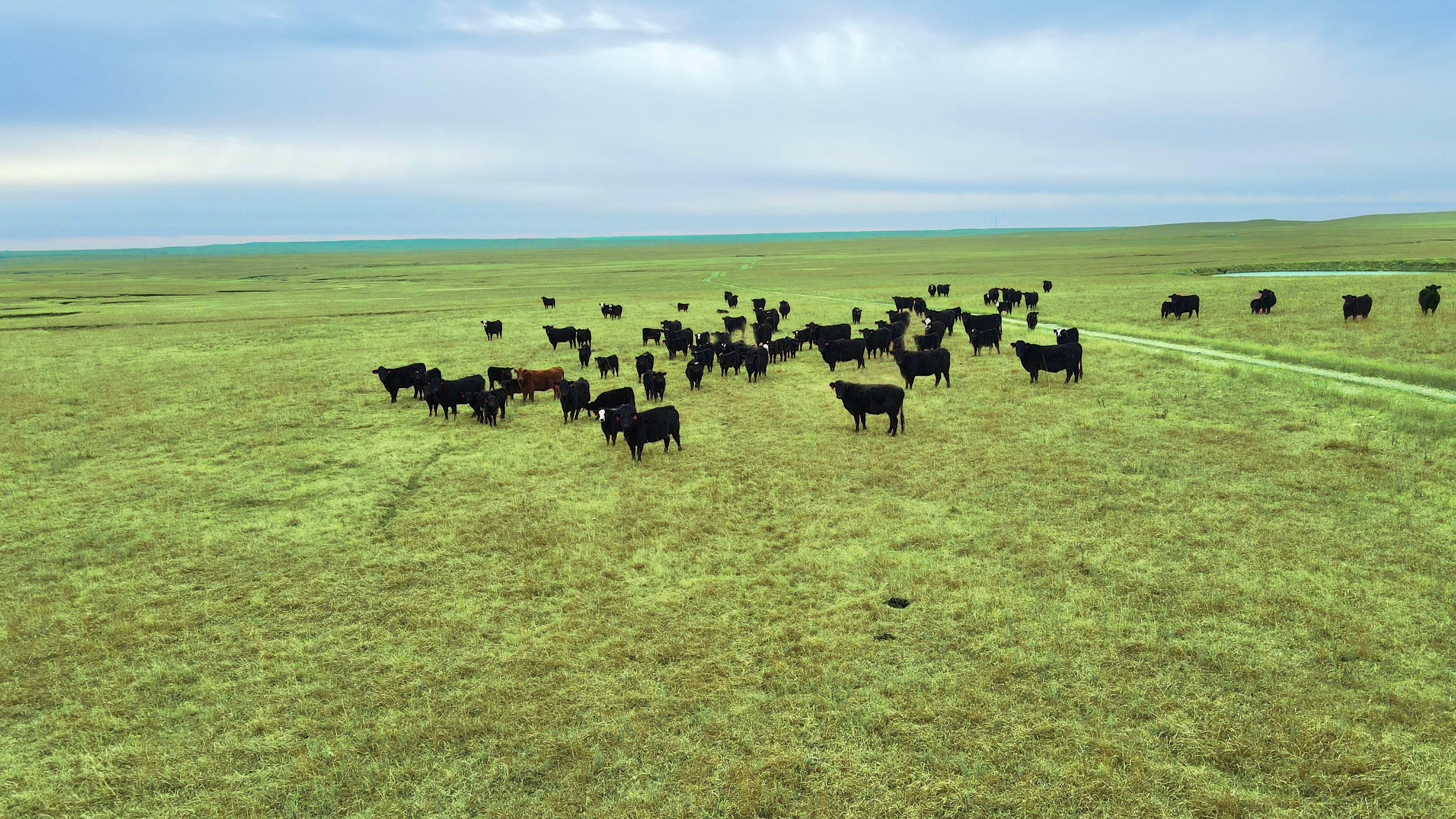 1,165.8 acres in Chase County, Kansas