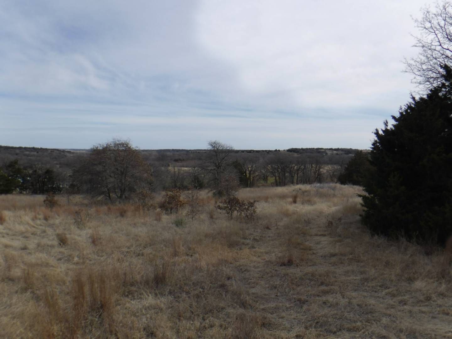 40 acres in Caddo County, Oklahoma