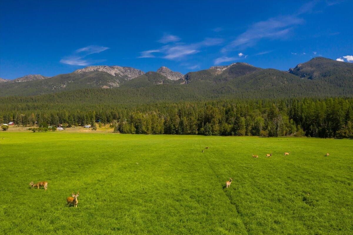 31.25 acres in Lake County, Montana