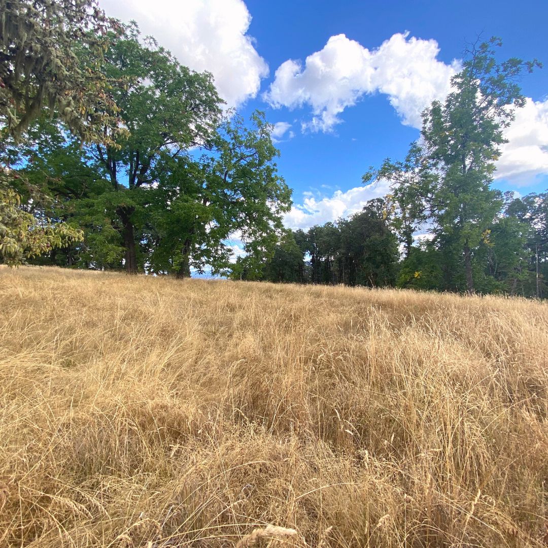 2 acres in Linn County, Oregon