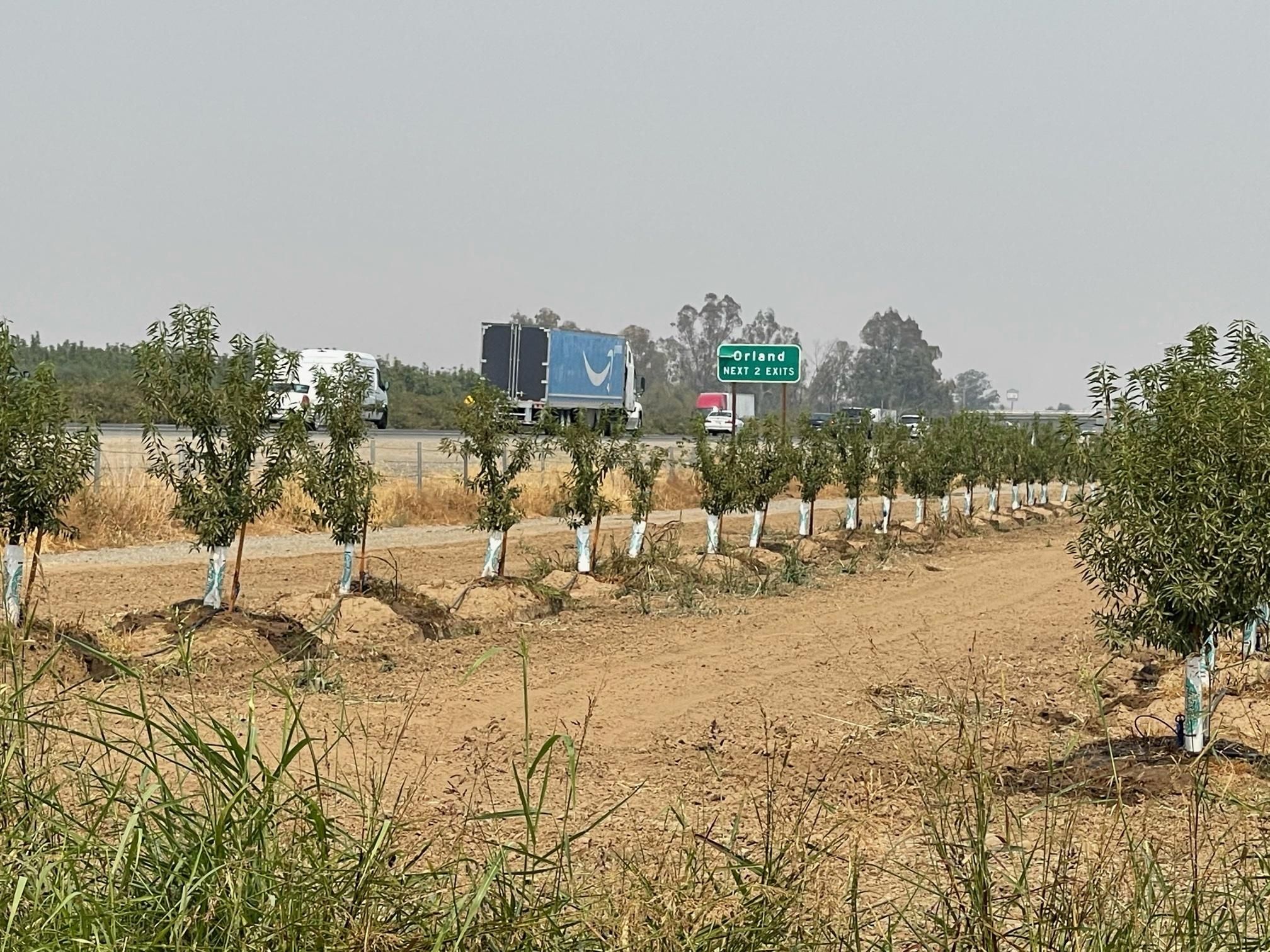 65 acres in Glenn County, California